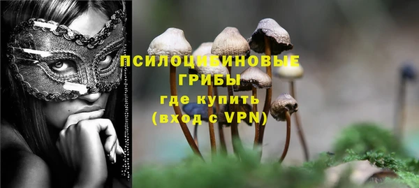 дурь Горняк
