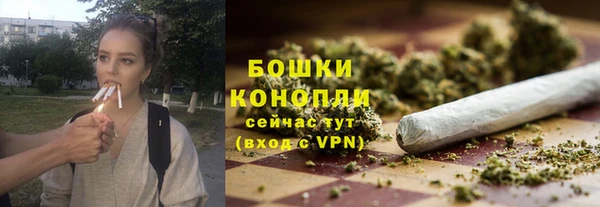трава Горно-Алтайск