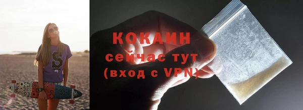 дурь Горняк