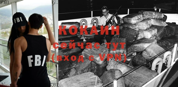 дурь Горняк