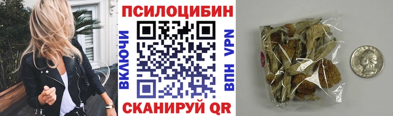 Купить закладки  Полысаево  Псилоцибиновые грибы Magic Shrooms 