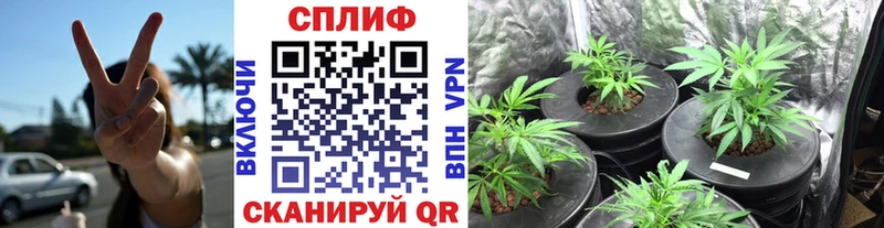 Каннабис ГИДРОПОН Полысаево